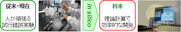 in silicoを用いた研究開発